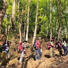 No.3791　 新緑の氷ノ山ハイキング