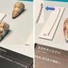 銛で狩りをする貝イモガイ/　アカエイ（「毒の博物館」3動物の毒／国立科学博物館特別展「毒」より）　 イモガイは小さな標本で「なんだ」と通り過ぎてしまいそうですが，展示された銛のレプリカ，その刃先を見ると，「この貝，本当に銛を打って狩りをしているんだ」と思わせてくれます．展示にはありませんでしたが，ネット検索するとイモガイが狩りをする画像もみつかります．驚きです．毒性成分はコノトキシンと呼ばれ，多彩な作用を発揮しているそうです．