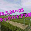 2025,5,24～25 トラックバイアス結果 (東京競馬場　京都競馬場　新潟競馬場)