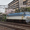 第1187列車　「　桜と雨と丸鮫と…裏山崎にて貨物列車を狙う　」