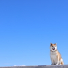 快晴の日曜日