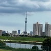 歩きました