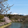 CX-60のある生活【70】〜CX-60で「鳥海山 + 桜」の景色を／「LEICA Q3」と過ごす "まったりLife（54）