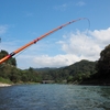 魚が居ないのか、隠れているだけなのか。