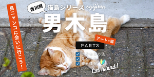 男木島ってどんな島？猫とアートに出会える癒し旅ガイド【香川・日帰りOK】