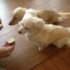 2013年02月24日のつぶやき