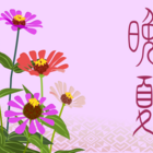 藍の花 やへむぐら 季節のイラスト
