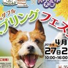 GW開幕！！　開幕イベントはこれで決定！