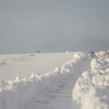 津軽の雪