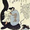 ひいろのほったらかしな棚