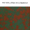 『サイバネティックスはいかにして生まれたか』N・ウィーナーの思い出〜流れを読む人。