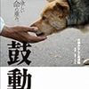 犬猫みなしご救援隊／金子二三夫写真「鼓動～感じて欲しい小さな命の重み。」（書肆侃侃房）－この本の発行日は2012年3月11日。その日から5年、震災から6年が過ぎた今、救援隊の活動はまだ続いています。