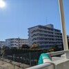 11/24(日)　今日は、寒さに負けている！　今日は日曜日の安息日としてお休みを頂こうかと思ったが夜ごはん前に少しやる気が戻ってきた！午前の歩きと、午後のVerandaの風景を掲載します！