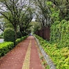 たけたこ落語会楽しみました