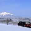 真っ白な岩木山と弘南鉄道大鰐線のキ105 + ED221の除雪列車を撮る！