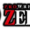 【解決】プロレスリングZERO１とは？プロレス初心者でも楽しめる？