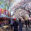 4月21日…太平川観桜会★その4