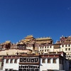 黄金に光り輝く雲南省最大規模のチベット仏教のお寺