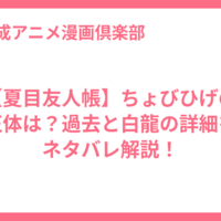 【夏目友人帳】ちょびひげの正体は？過去と白龍の詳細をネタバレ解説！