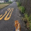 三連休の2日目、中華街とBMSGのライブ。