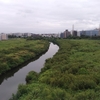 Tsurumi River