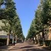 子どもを預かるお仕事の細かいところ