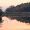 あさお池（和歌山県紀の川）