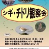 甲子園浜｜2025年4月29日（火）野鳥👀『シギ・チドリ観察会』が開催されます！