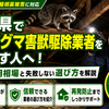 埼玉県でアライグマ害獣駆除業者を探す人へ！費用相場と失敗しない選び方を解説