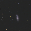 くじら座の銀河 NGC908