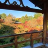 22年11月の東福寺のお話。