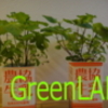 GREEN:水耕栽培でハーブを育てる03