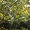一人でいるときこそ、何かとつながっている