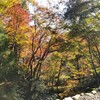 【京都】高雄、『高山寺』に行ってきました。京都観光 京都紅葉 そうだ京都行こう