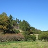 ゆずの里　毛呂山町