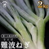 食彩の王国 長ネギ　難波ネギ どこで売ってる？