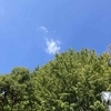 秋晴れの日の宝探し