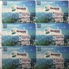 セグエグループ 優待（QUOカード）到着、いつ届く（高額QUOカードは嬉しい）