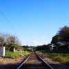 小湊鉄道に揺られて、養老渓谷で紅葉を撮りたい！と思ったから行ってきた。