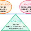 【雑想】「鬱病の入り口」？