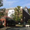 京都 　嵐山 〜 嵯峨野の紅葉