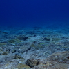 夏を求めて沖縄　慶良間諸島　日帰り3ダイブ