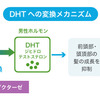 薄毛改善　プロペシア（フィナステリド）の効果