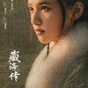 蔵海伝　その２