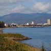 晩秋の琵琶湖水系で紅紫の勇姿を追う