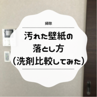 代表的な壁紙クロスの種類 後編 それぞれのメリット デメリット マイホーム計画 いもむしねね 代表的な壁紙クロスの種類 後編 それぞれのメリット デメリット マイホーム計画 いもむしねね