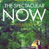 旬な青春映画『いま、輝くときに』（The Spectacular Now）＠Ritz East 9月14日