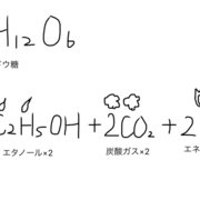 パンの発酵とは 生地の中で何が起こっているのかパンが膨らむ仕組みを徹底解説 一次発酵 二次発酵 Bake First 上達するパン作りの 考え方 By Bake First
