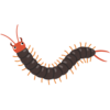 ムカデのフリーイラスト素材