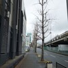 今日という日。北大阪逐鹿。